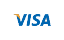 Visa card accepted